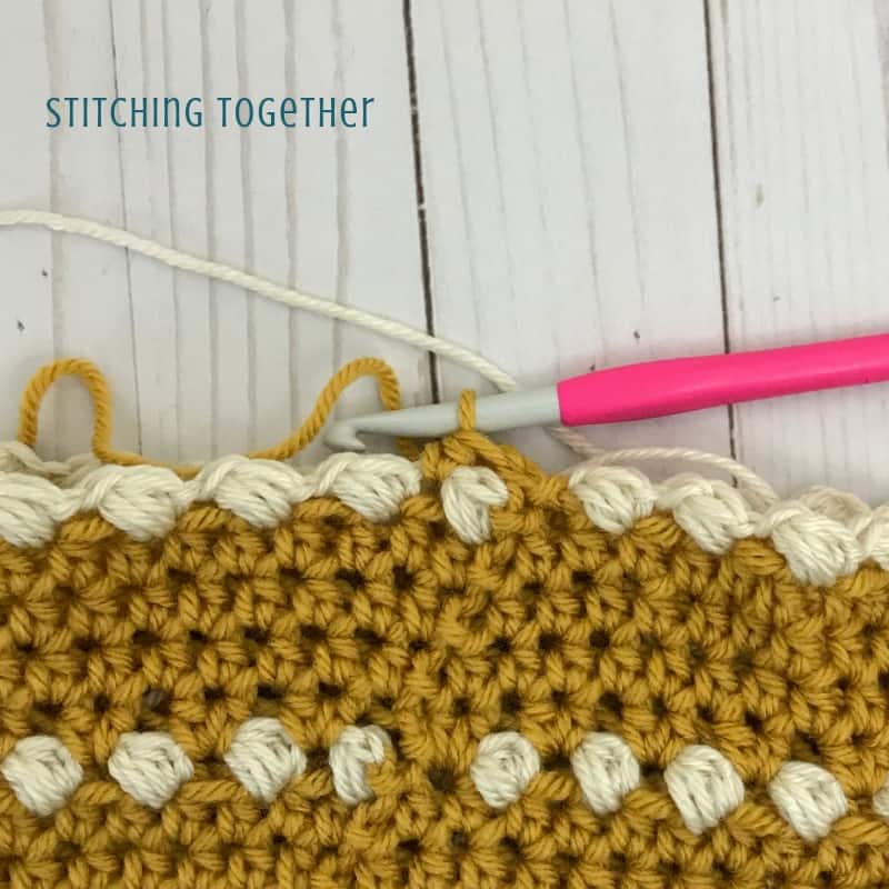 Puff Stitch Crochet Hat